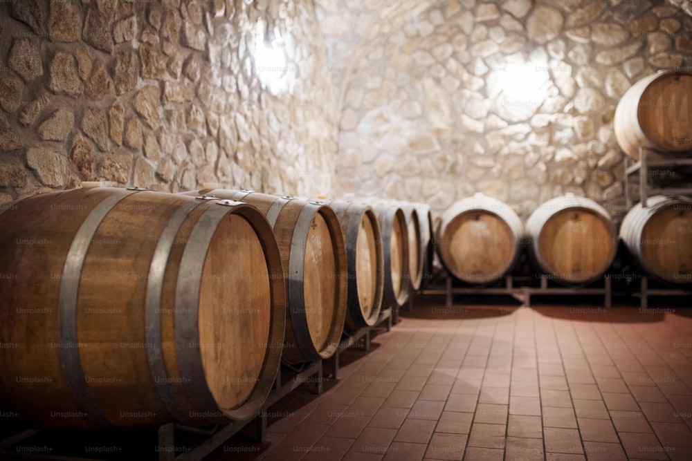 Barrels in cellar, wine making concept. A copy space.