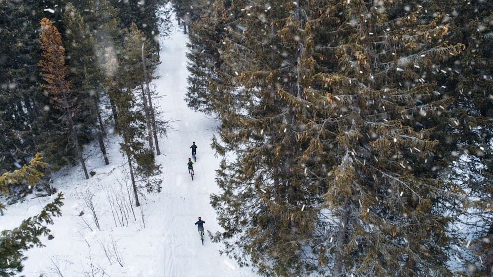 Veduta aerea di mountain biker che cavalcano su strada coperta di neve nella foresta all'aperto in inverno.