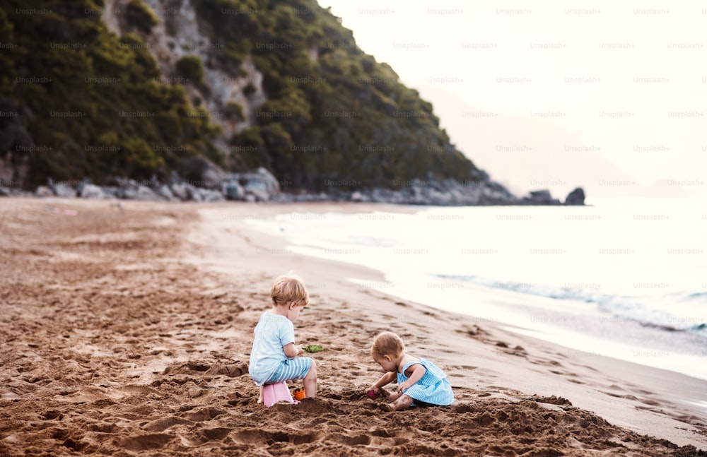 Deux enfants en bas âge jouant sur une plage de sable pendant les vacances d’été en famille.