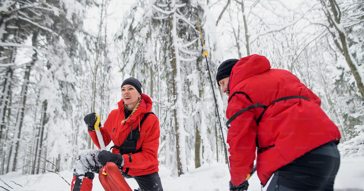 Mountain rescue service on operation outdoors in winter in forest ...