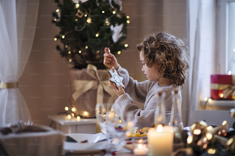 크리스마스에 실내에 앉아 장식품을 들고 있는 쾌활한 작은 소녀의 측면 보기.