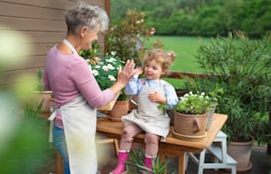 Happy senior grandmother with small granddaughter gardening on balcony in summer.