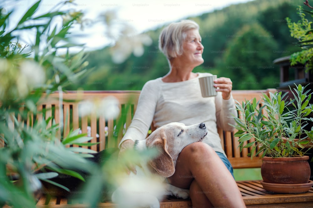 Una donna anziana con un cane e un caffè seduta all'aperto su una terrazza in una giornata di sole in estate.