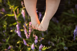 Legs of cute little baby boy against green meadow with purple flowers.