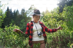 Front view of young woman with camera on a walk in forest in summer nature, walking.