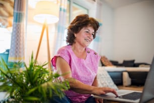 Happy senior woman with laptop sitting at home, working.