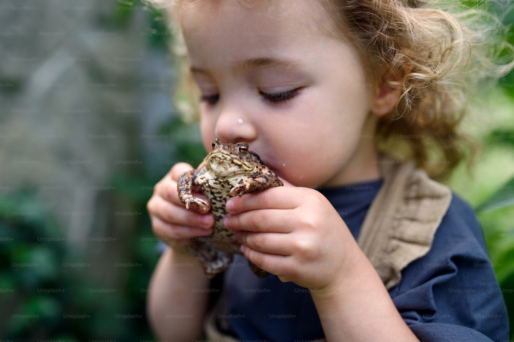 Close up portrait of happy small girl holding a frog outdoors in summer, kissing it.