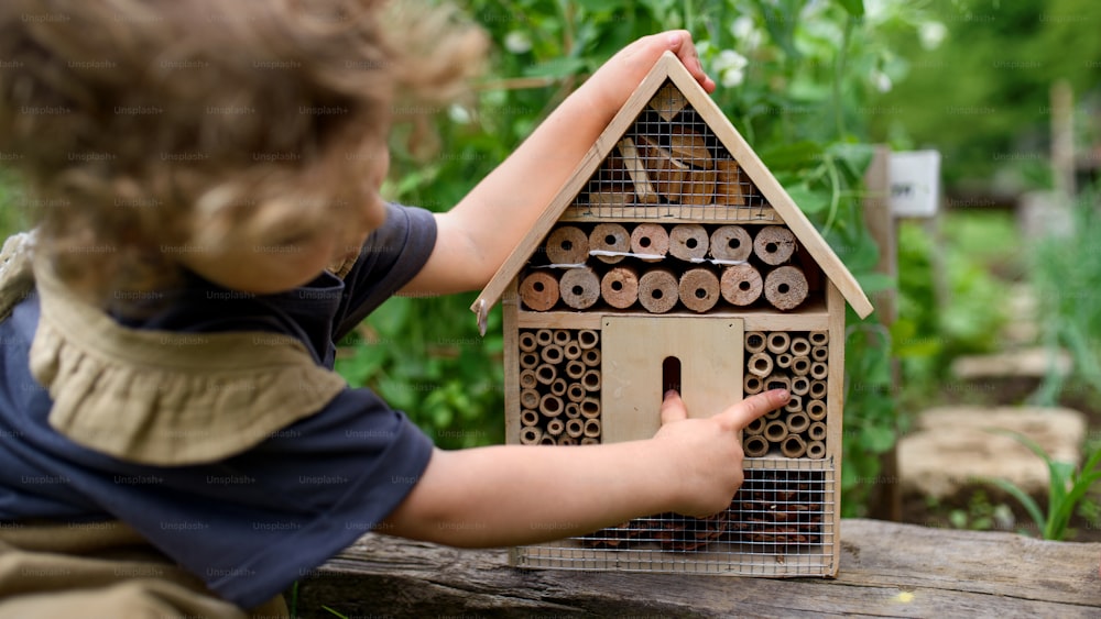 A rear view of small girl playing with bug and insect hotel in garden, sustainable lifestyle.