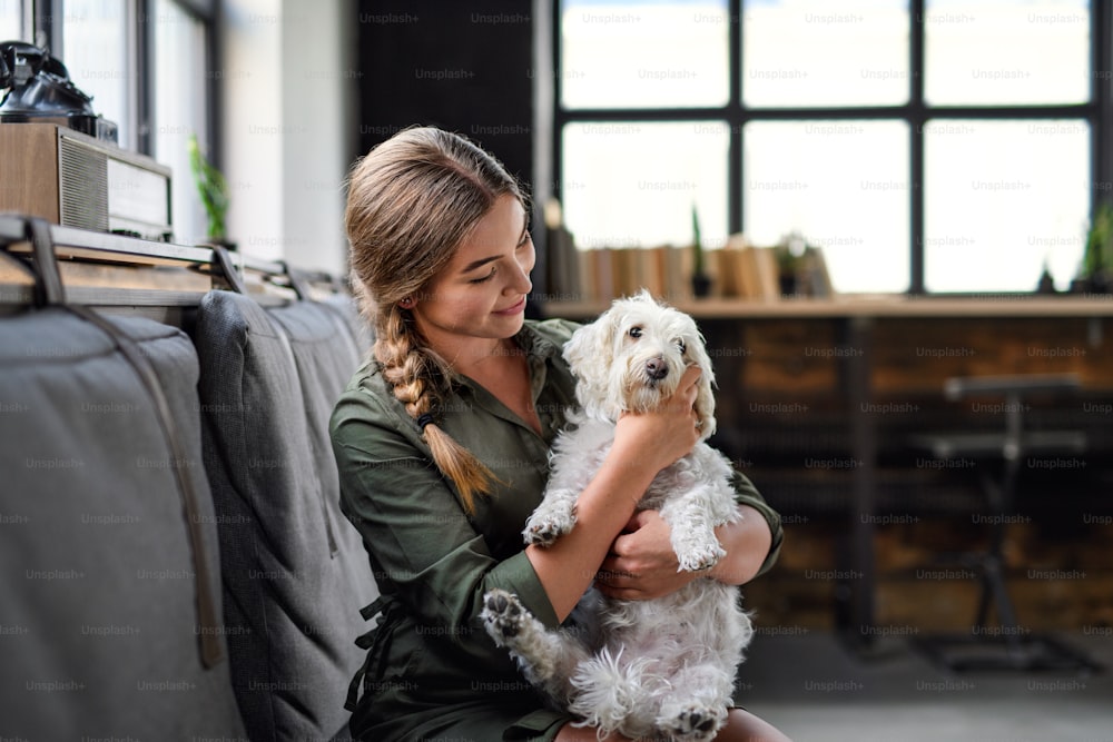 Portrait of young business woman playing with dog sitting indoors in office.