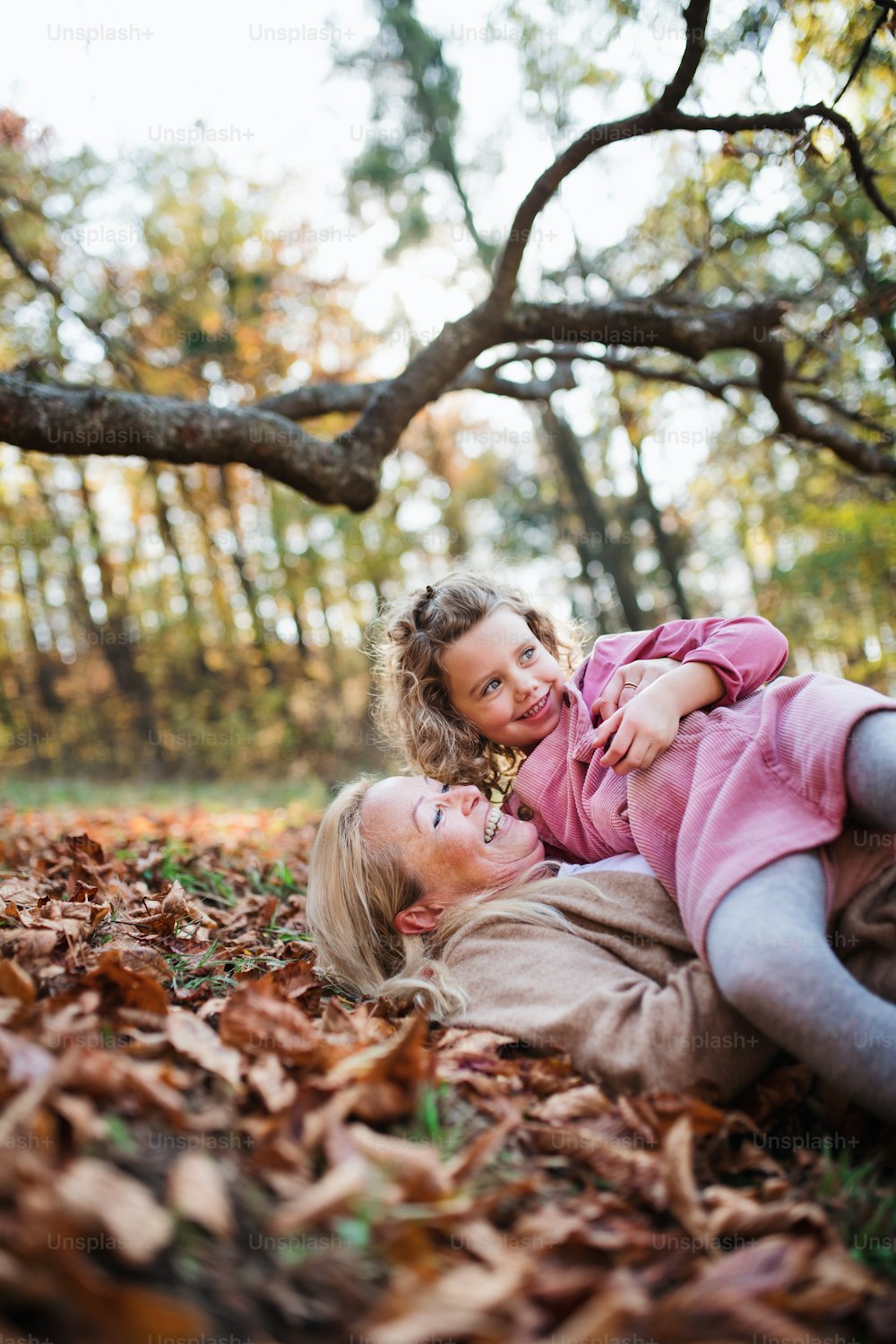 할머니와 함께 가을 숲을 산책하며 즐거운 시간을 보내는 작은 소녀의 초상화.