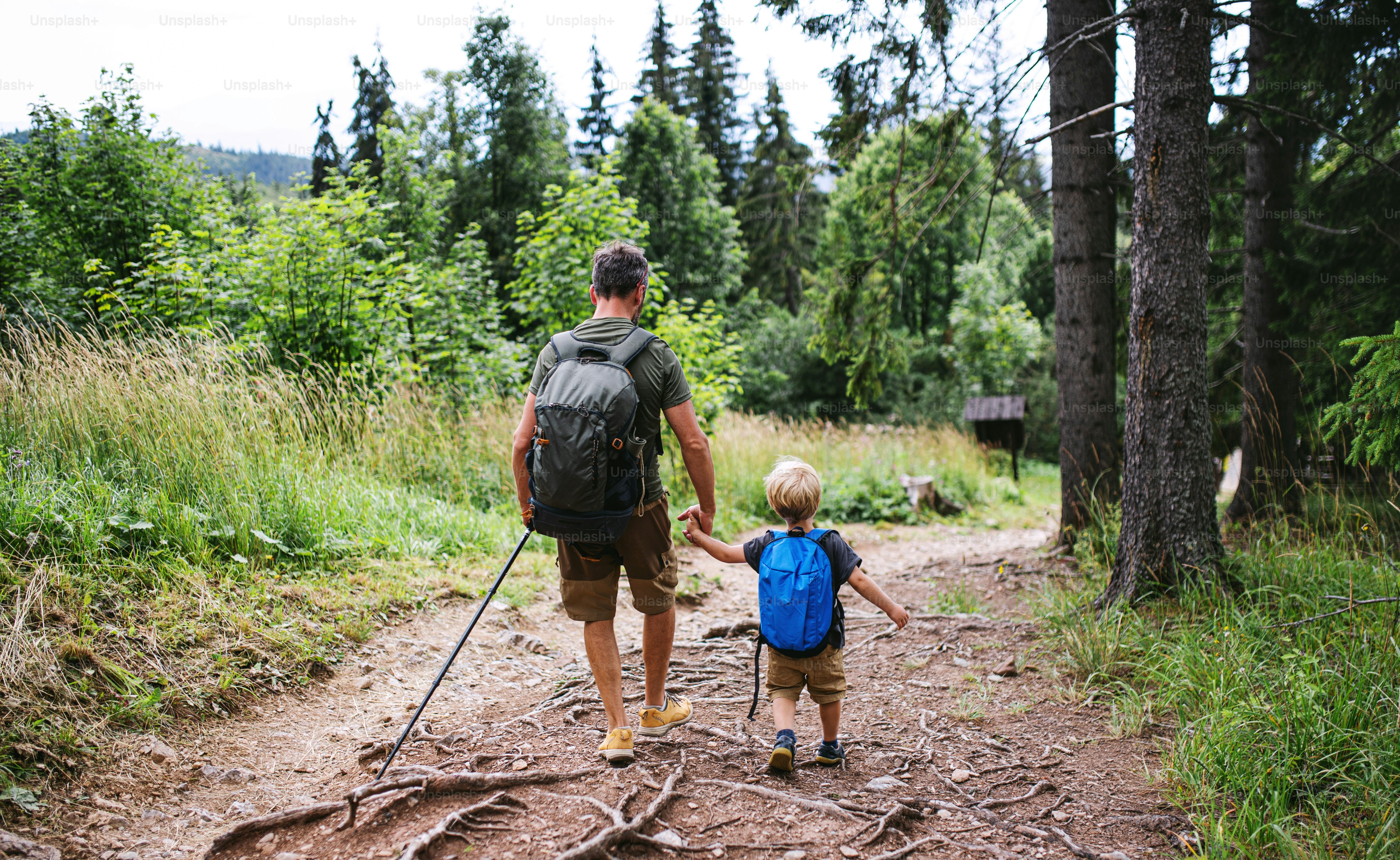 Tampilan belakang ayah dengan putra kecil mendaki di luar ruangan di alam musim panas, berjalan. Pegunungan Tatra di Slovakia.