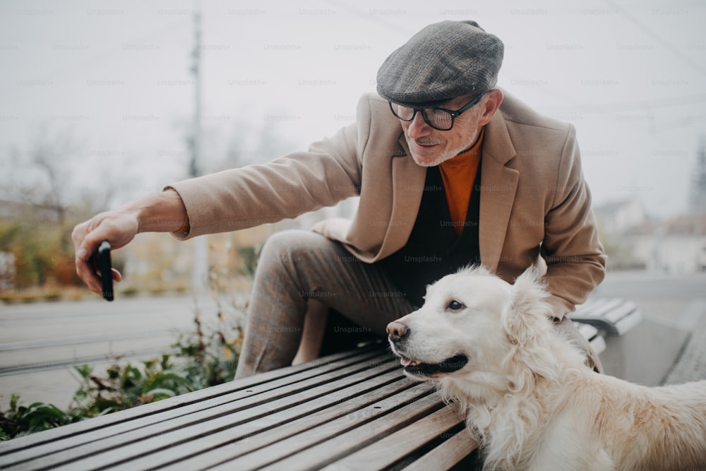 Un homme âgé heureux assis sur un banc et prenant un selfie lors d’une promenade de chien à l’extérieur en ville.