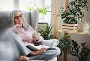 Ritratto di donna anziana seduta all'interno sul divano di casa, rilassante e leggendo un libro.