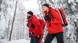 冬の森の中を屋外を歩く山岳救助隊の救急隊員のローアングルビュー。