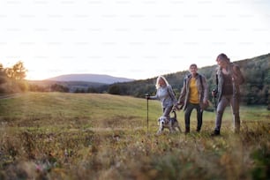 Senior women friends with dog on walk outdoors in nature at sunset, walking. Copy space.