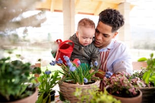 Hispanic father and small toddler son indoors at home, watering flowers.