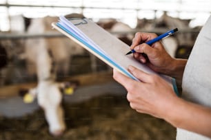 Unrecognizable manager with clipboard working on diary farm, making notes. Agriculture industry.