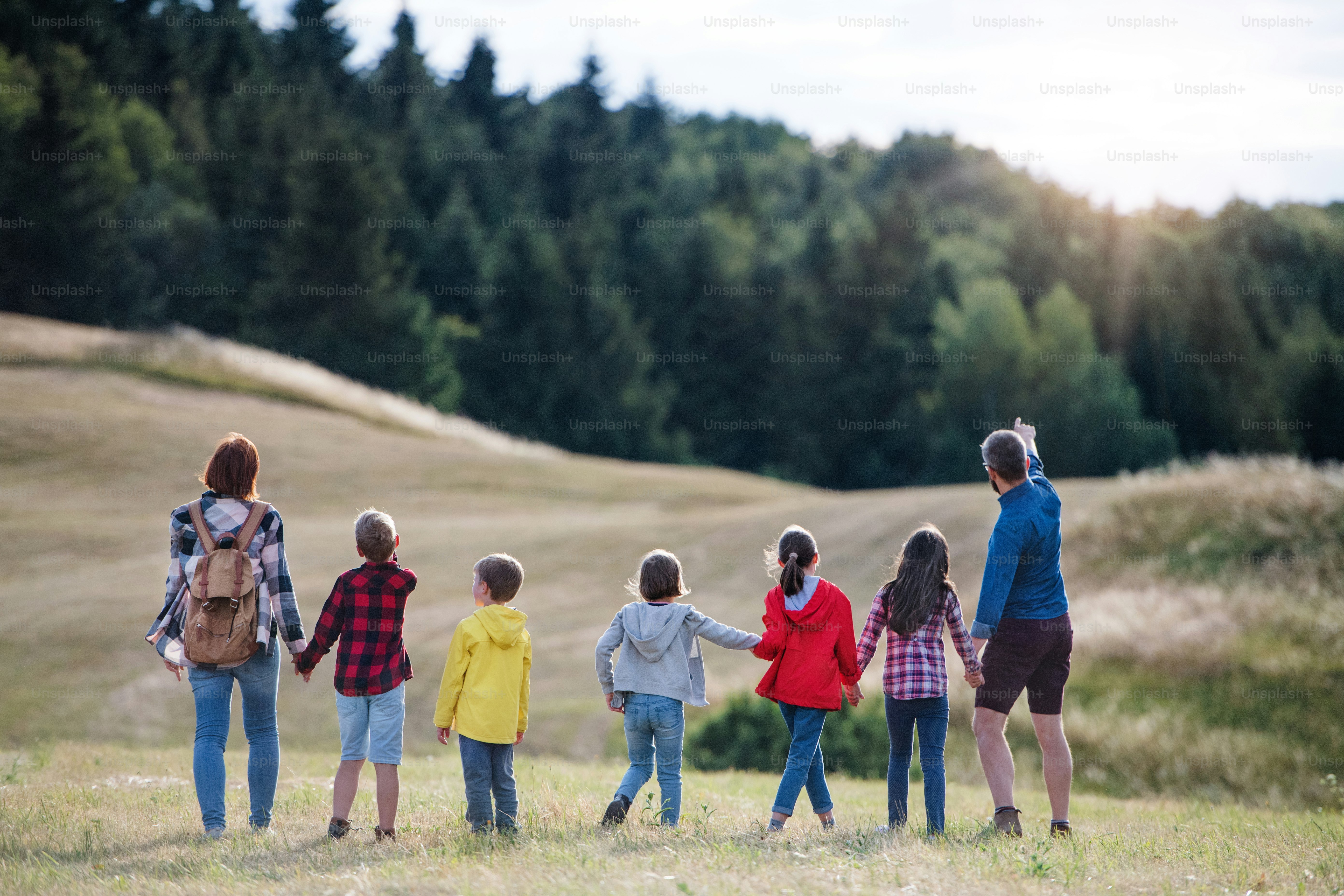 Vista traseira do grupo de crianças em idade escolar com professor em viagem de campo na natureza, caminhando.