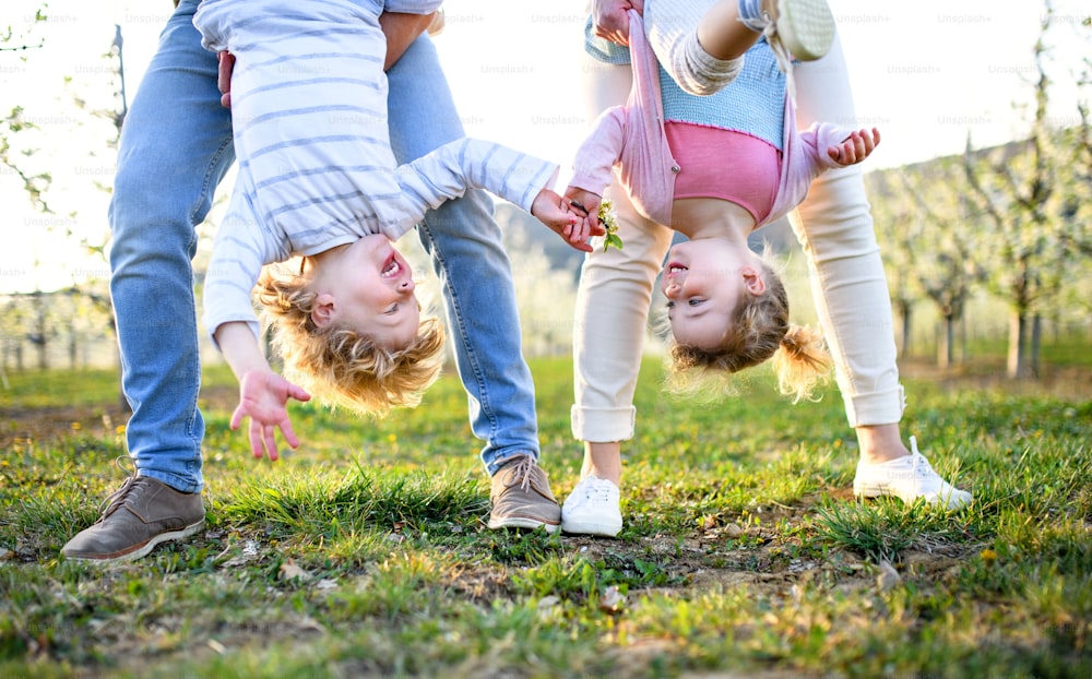 Familia alegre al aire libre en el huerto en primavera, sosteniendo a los niños boca abajo.