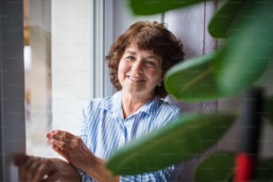 Senior woman standing and relaxing by window at home, looking at camera.