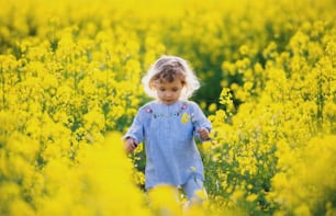 Front view of happy small toddler girl walking in spring nature in rapeseed field.