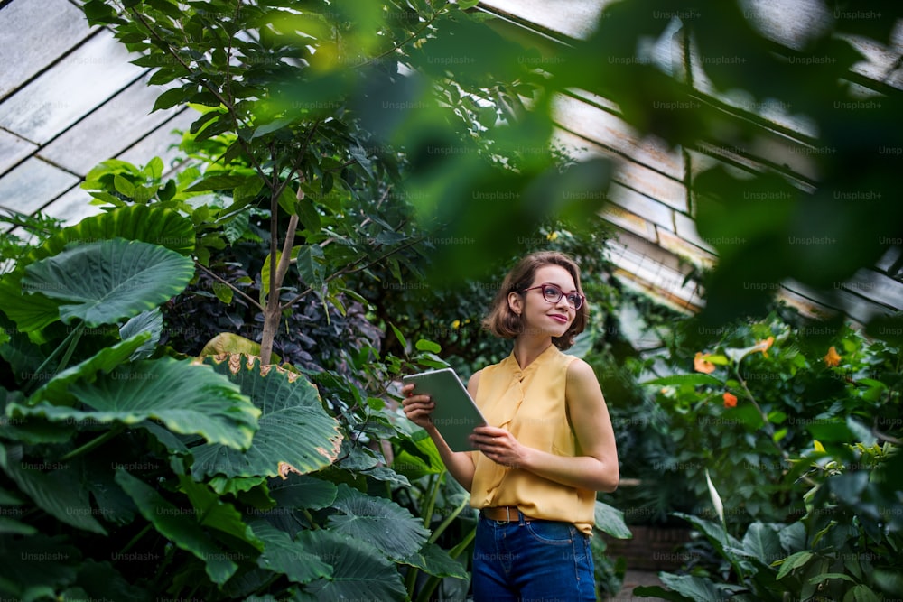 Giovane donna con tavoletta in piedi in serra nel giardino botanico. Copia spazio.