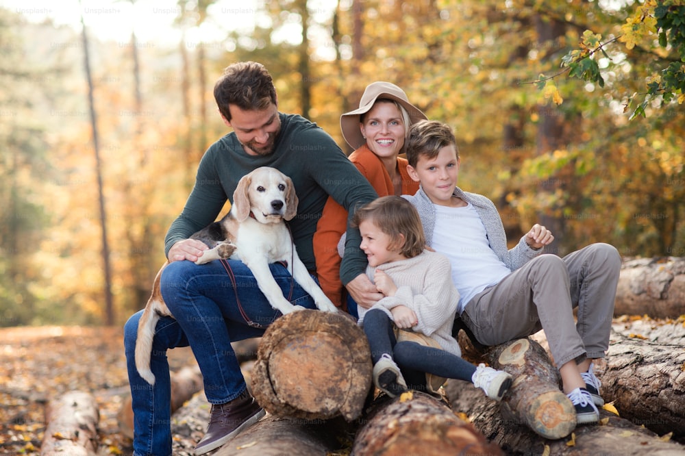 Porträt der Familie mit kleinen Kindern und Hund auf einem Spaziergang im Herbstwald.