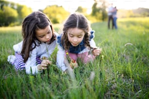 Front view portrait of two small girls standing outdoors in spring nature, picking flowers.