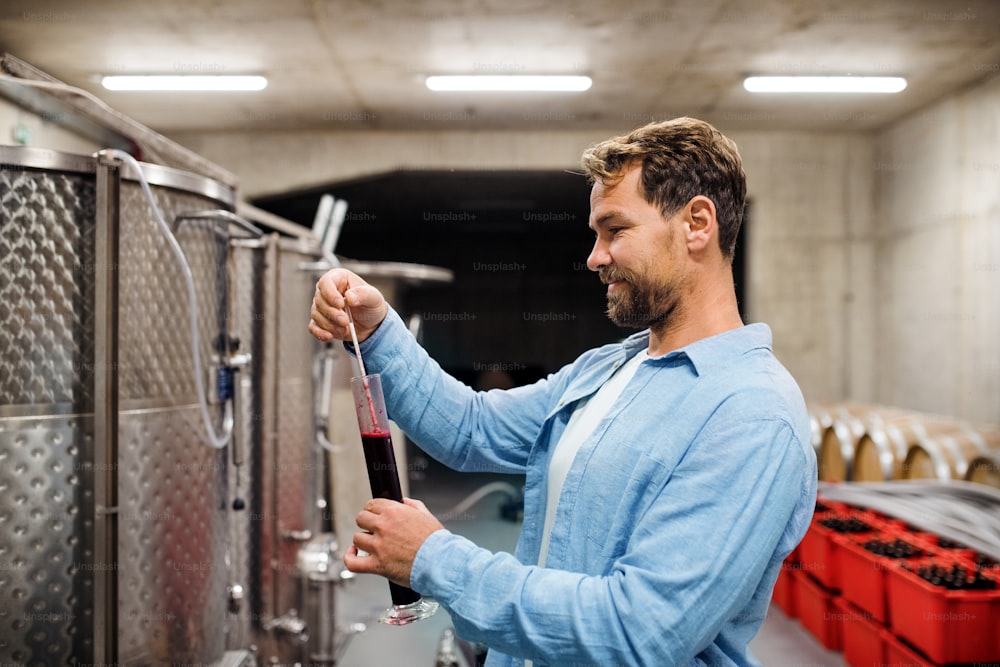 Portrait of man worker measuring gravity indoors, wine making concept.