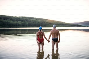 Rear view of senior couple in swimsuit standing in water in lake outdoors before swimming.