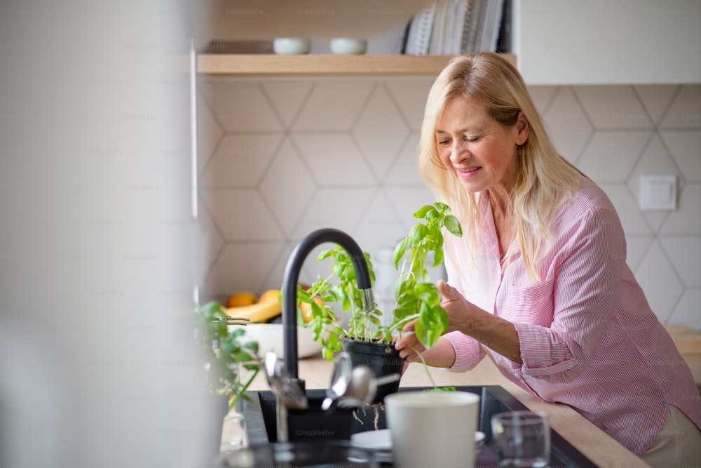 Front view portrait of senior woman watering plants indoors at home.