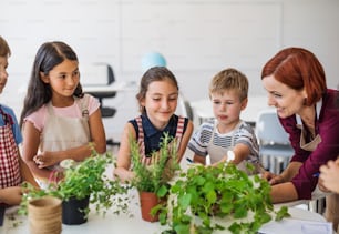 A group of small happy school kids with teacher standing at the table in class, planting herbs.