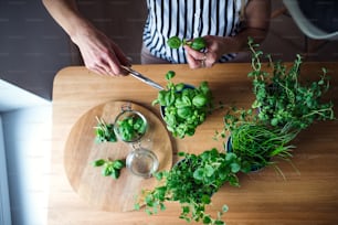 Midsection of unrecognizable woman indoors at home, cutting green herbs.