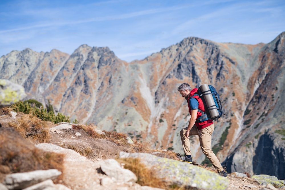 Homem maduro com mochila caminhando nas montanhas no verão. Espaço de cópia.
