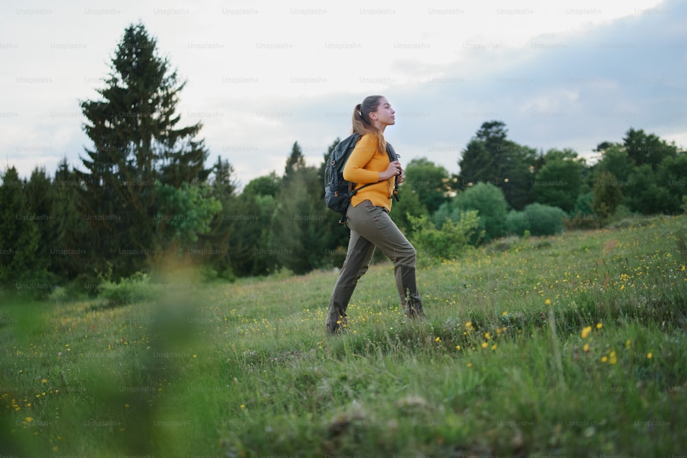 Vue latérale d’une jeune femme sur une promenade à l’extérieur sur la prairie dans la nature d’été, en marchant.