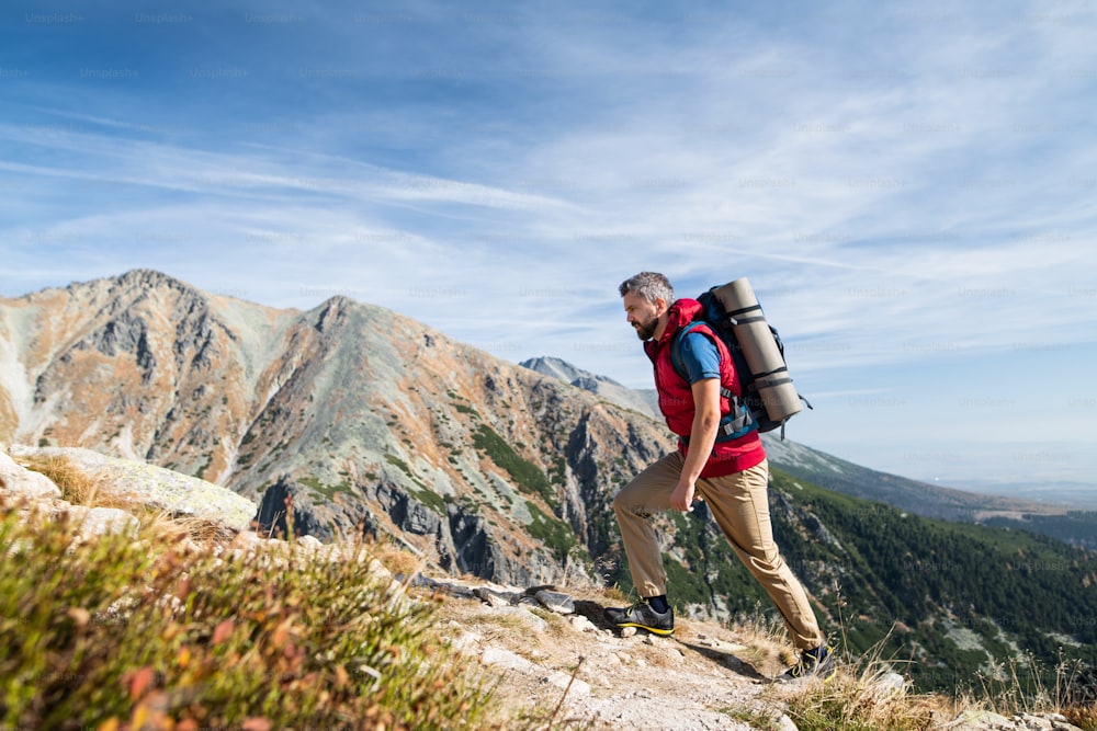 Homme mûr avec sac à dos randonnée dans les montagnes en été. Espace de copie.