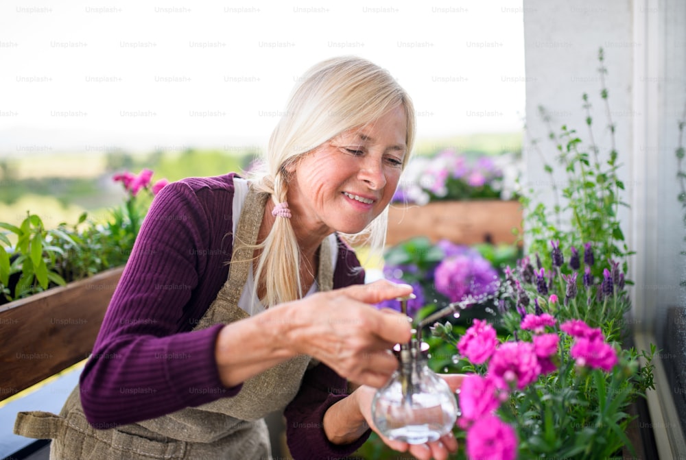 Portrait of senior woman gardening on balcony in summer, spraying plants.