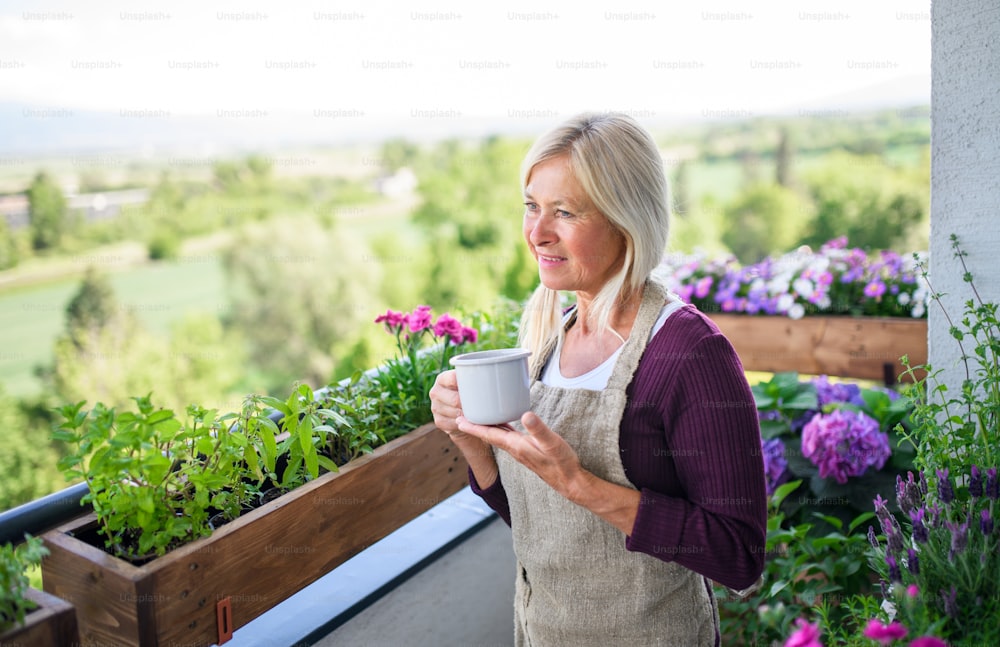 Portrait of happy senior woman with coffee gardening on balcony in summer.