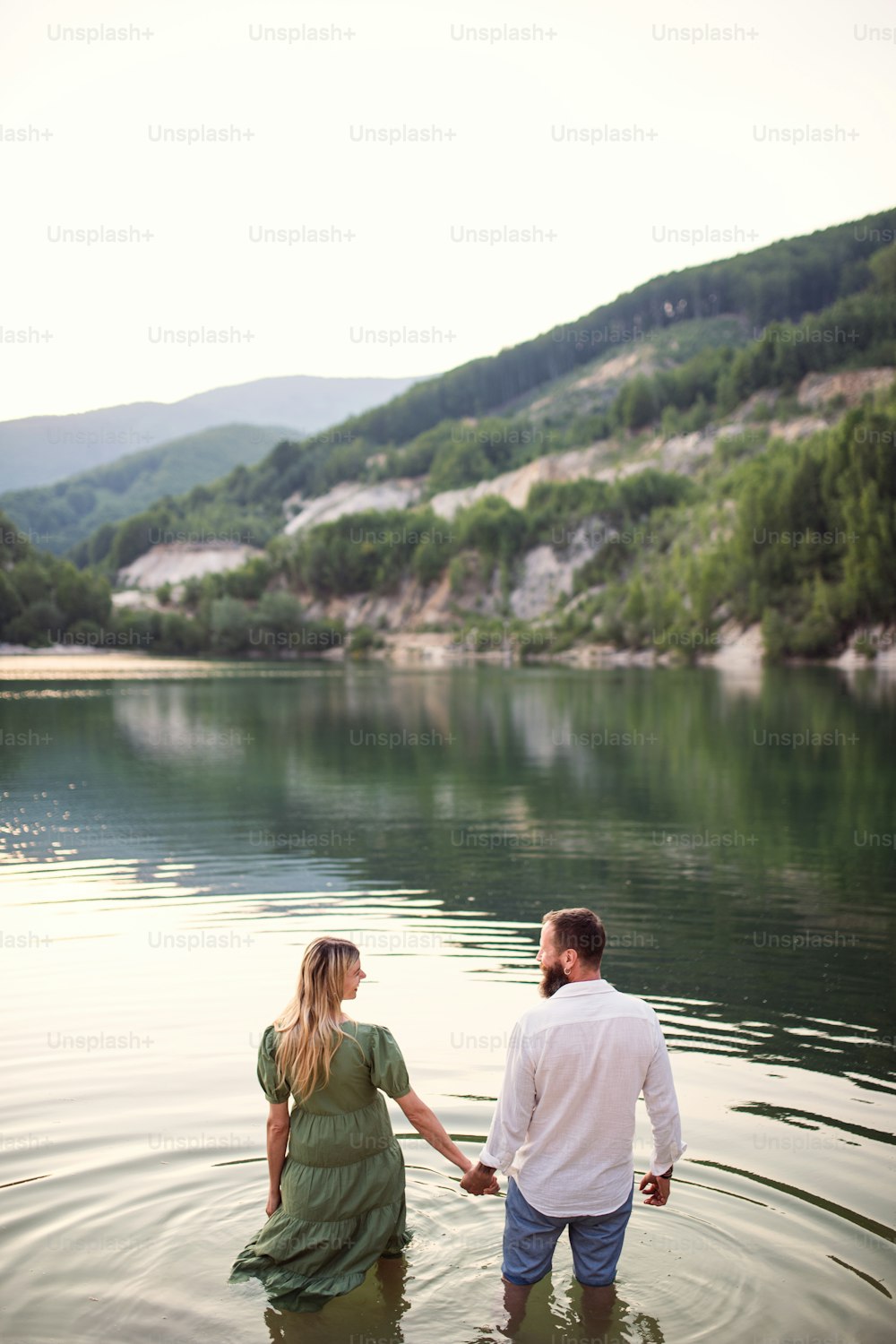 A rear view of mature couple in love standing in nature, holding hands.
