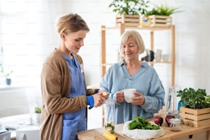 Mulher idosa feliz com cuidador ou profissional de saúde dentro de casa, preparando comida.
