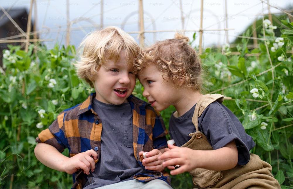 Portrait of two small children in vegetable garden, sustainable lifestyle concept.