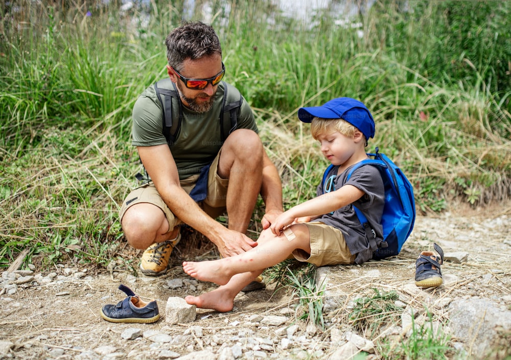 Mature father with small son hiking outdoors in summer nature, putting plaster on knee.