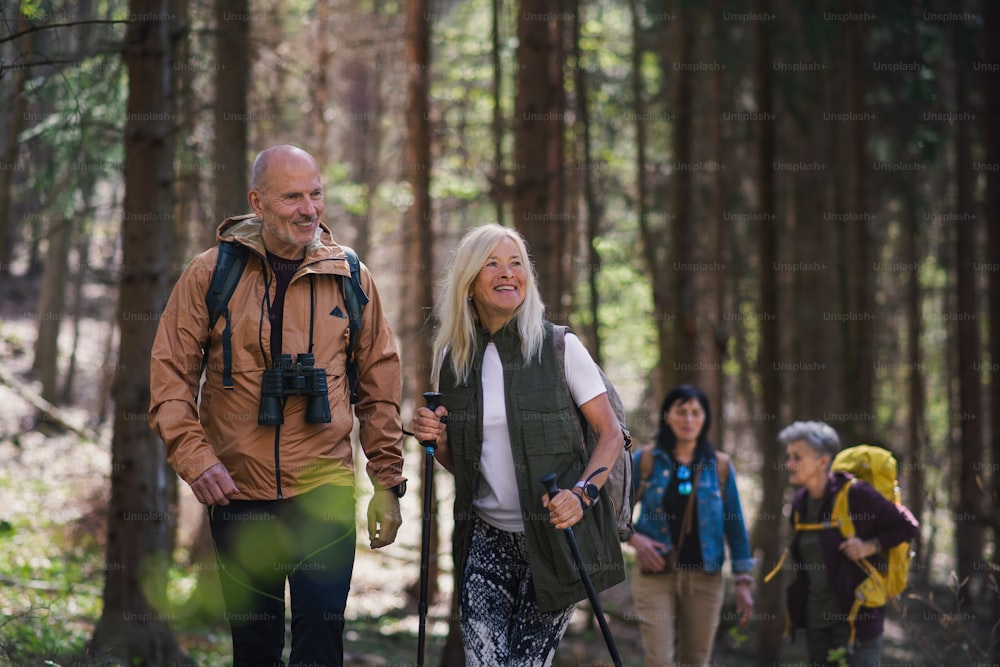 Portrait of group of seniors hikers outdoors in forest in nature, walking.