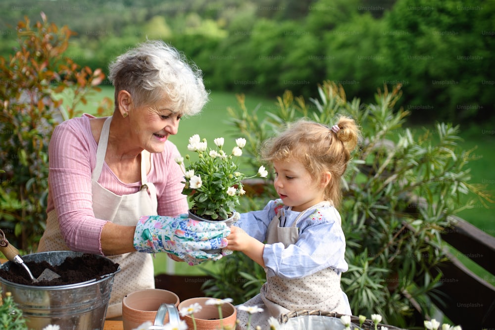 Happy senior grandmother with small granddaughter gardening on balcony in summer.