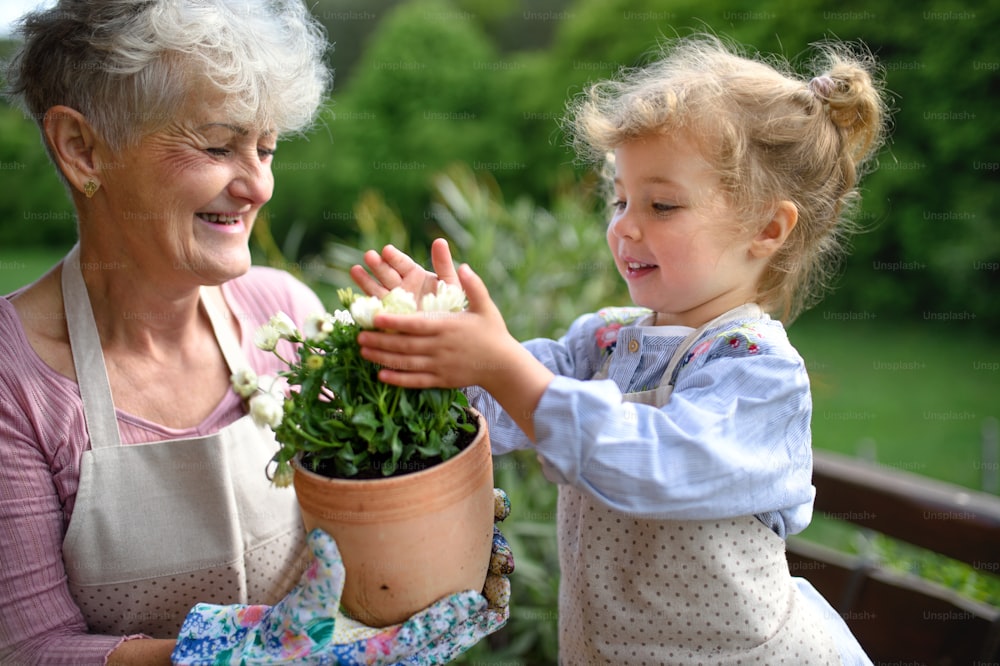 Happy senior grandmother with small granddaughter gardening on balcony in summer.