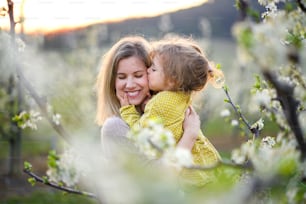 Portrait od mother with small daughter standing outdoors in orchard in spring, kissing.