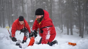 Mountain rescue service on successful operation outdoors in winter in forest, snow, saving person and avalanche concept.