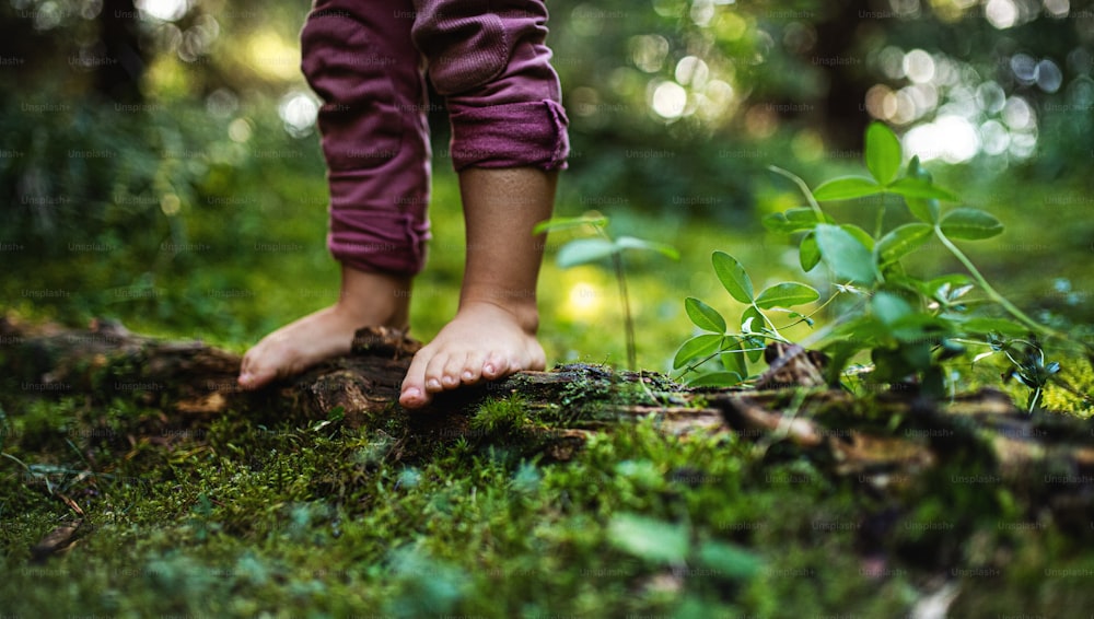 Bare feet of small child girl standing barefoot outdoors in nature, grounding concept.