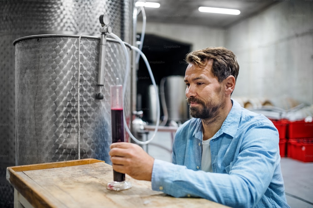 Portrait of man worker working indoors in cellar, wine making concept.