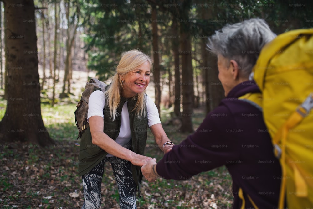 Happy senior women hikers outdoors walking in forest in nature, giving helping hand.